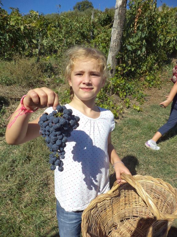 Fattoria Di Castiglionchio Villa Rosano  Bagian luar foto