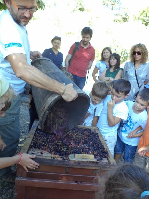 Fattoria Di Castiglionchio Villa Rosano  Bagian luar foto
